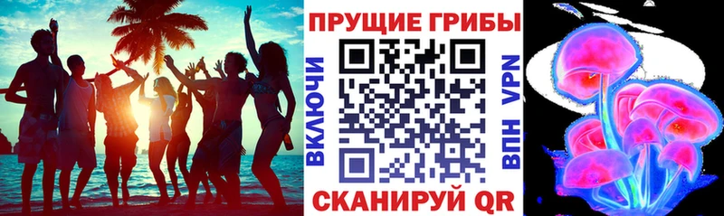 Галлюциногенные грибы мухоморы  дарк нет как зайти  Духовщина 